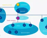 Diagramma che illustra la struttura gerarchica di un documento, utile per leggere file XML. Mostra relazioni come "ancestor", "parent", "self", "child" e "descendant".