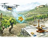 Un drone sorvola una vigna, monitorando una foglia malata. Sotto, bilancia della giustizia e normativa, per riprese con drone autorizzazioni.