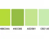 Quattro tonalità di verde, dal lime brillante al pastello, con codici RGB: #8BC34A, #9CC65, AED581, C5E1A5.