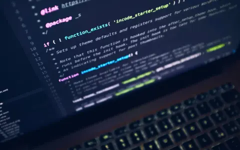Schermo con codice Python evidenziato, che mostra una funzione per l'inizializzazione di un tema WordPress.