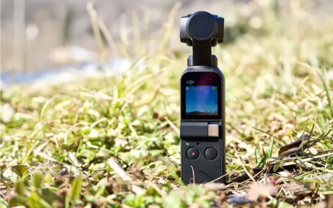 DJI Osmo Pocket in erba, pronto per scoprire come collegare la telecamera del drone al telefono per riprese aeree mozzafiato.