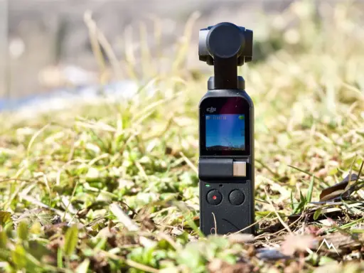 DJI Osmo Pocket in erba, pronto per scoprire come collegare la telecamera del drone al telefono per riprese aeree mozzafiato.