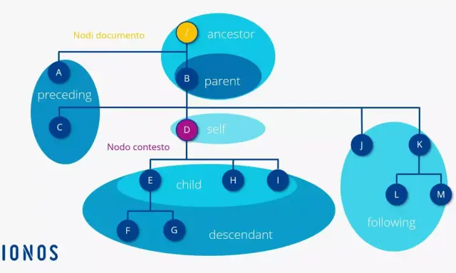 Diagramma che illustra la struttura gerarchica di un documento, utile per leggere file XML. Mostra relazioni come "ancestor", "parent", "self", "child" e "descendant".